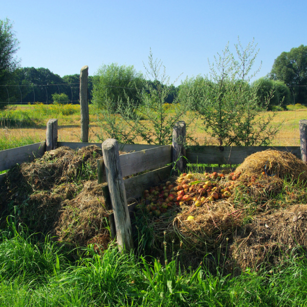 Composting — Turning Waste into Wellness for the Farm
