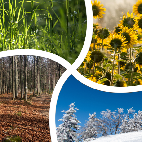 Seasons of the Farm — How We Work with Nature
