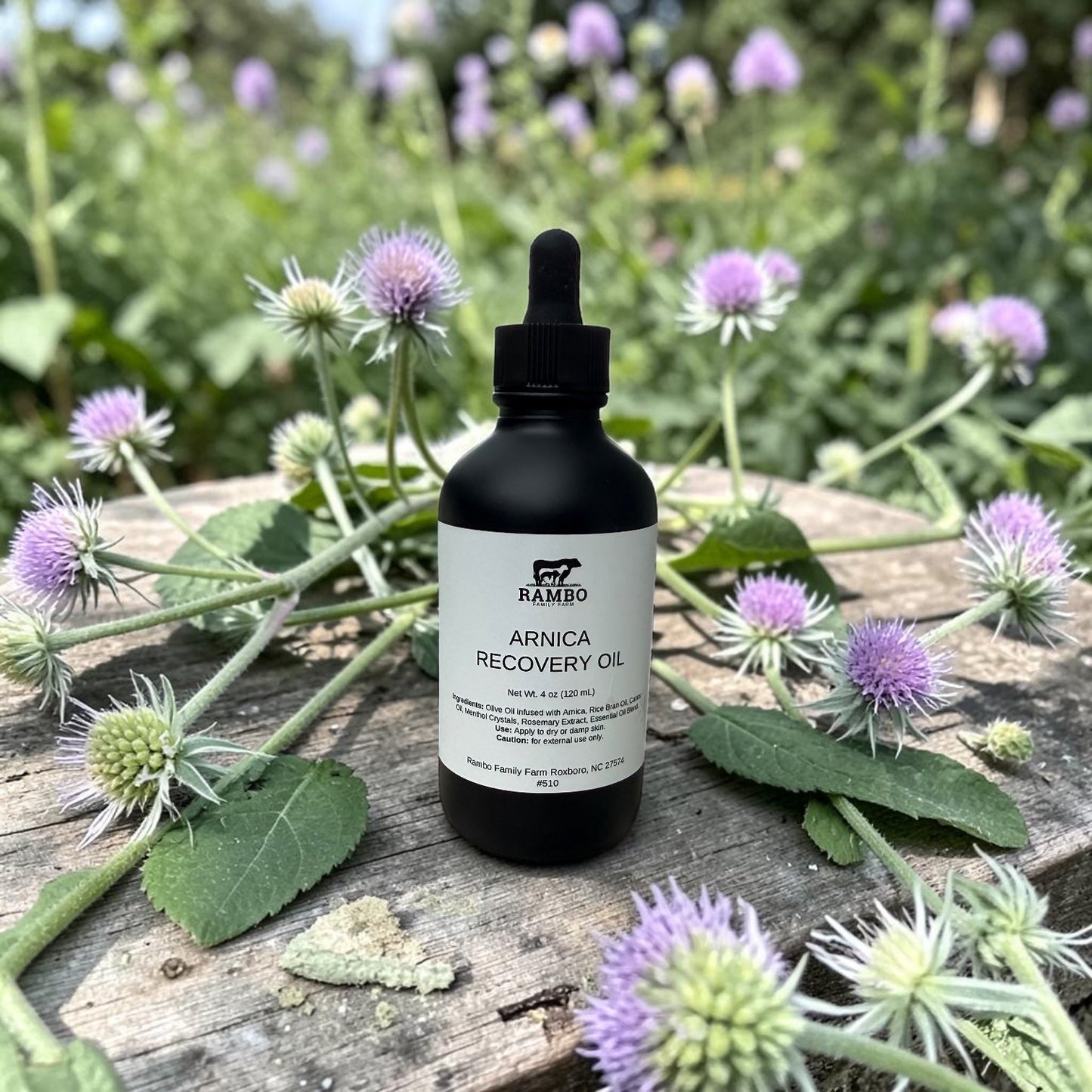 Arnica Recovery Oil - Rambo Family Farm