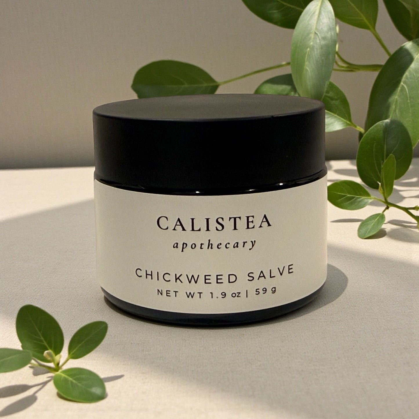 Chickweed Salve - Calistea