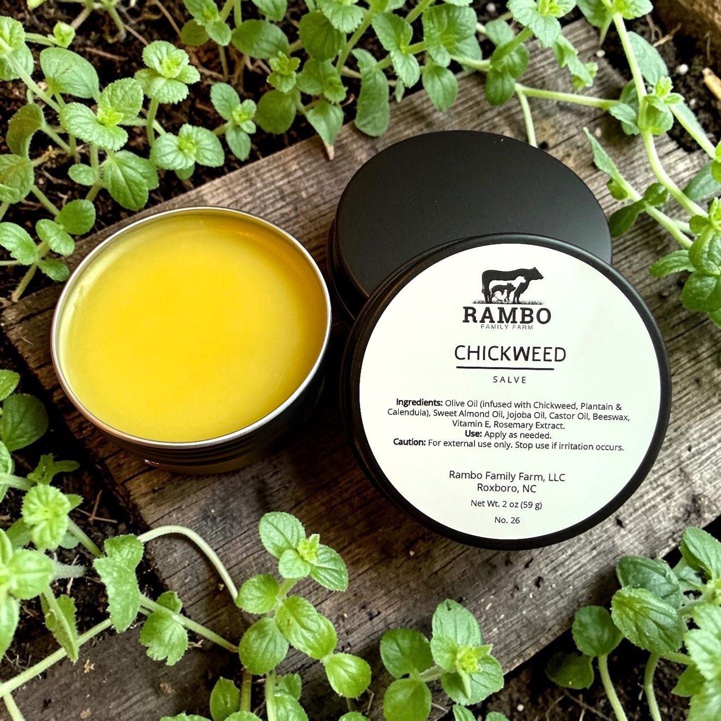 Chickweed Salve - Rambo Family Farm