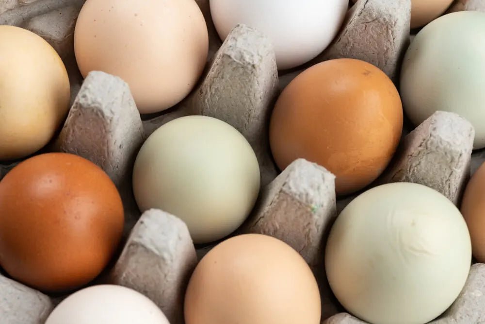 Farm Fresh Eggs - Calistea