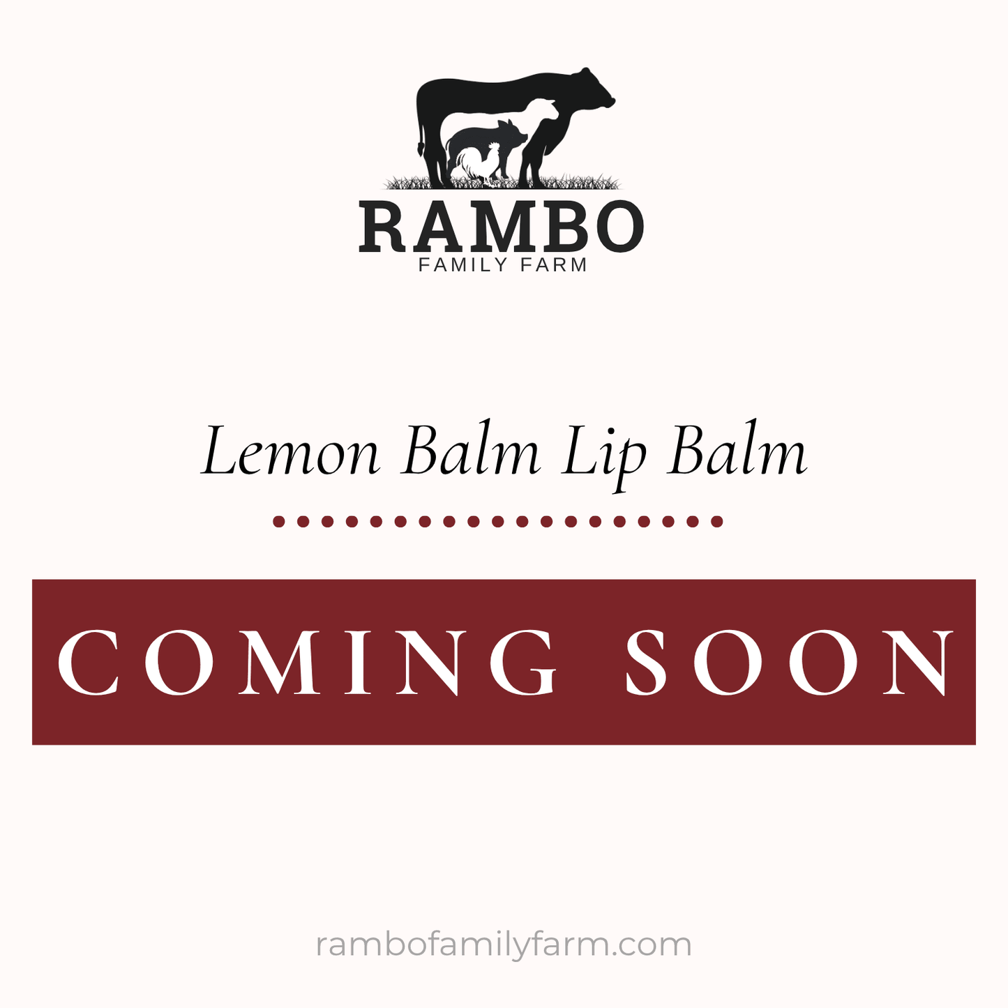 Lemon Balm Lip Balm - Rambo Family Farm
