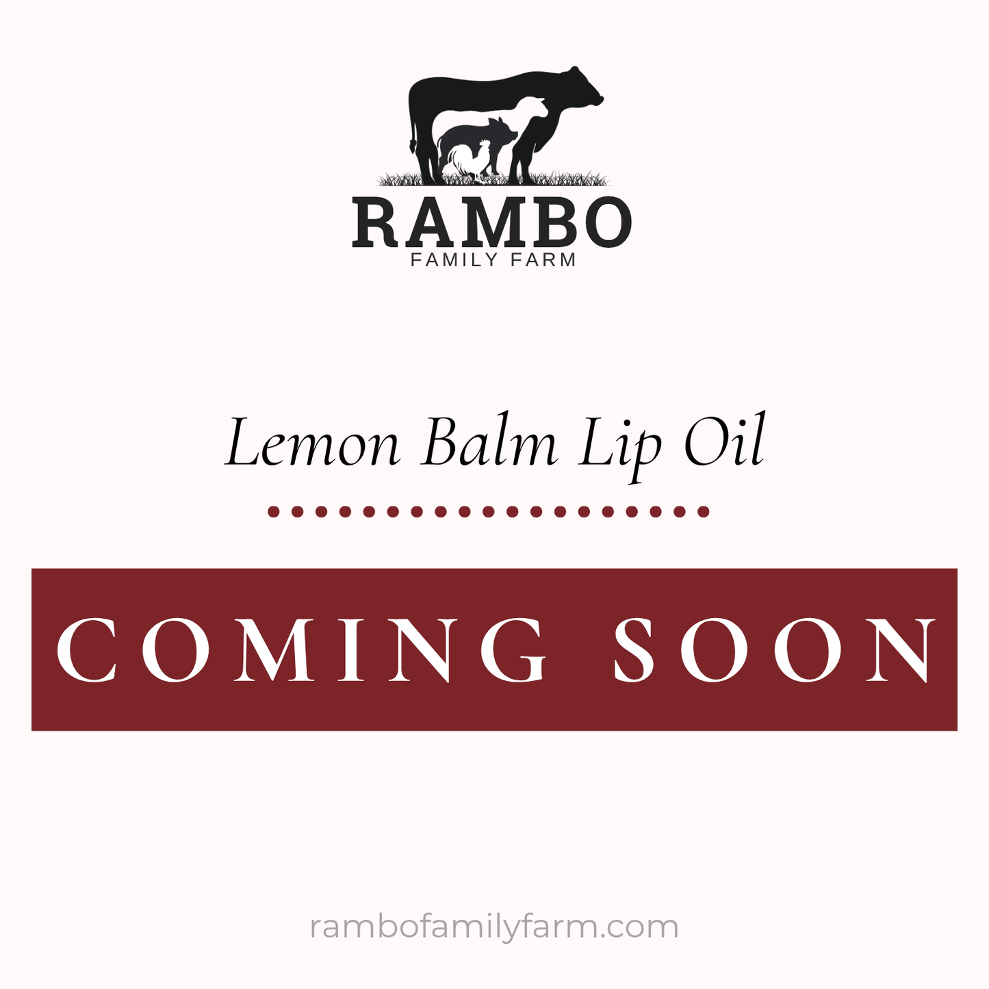 Lemon Balm Lip Oil - Rambo Family Farm